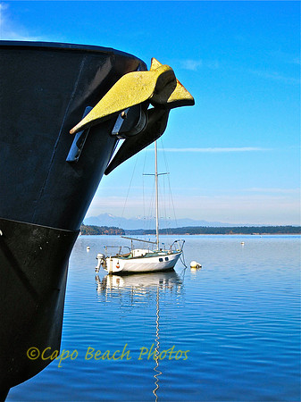 Boston Harbor Marina Ships