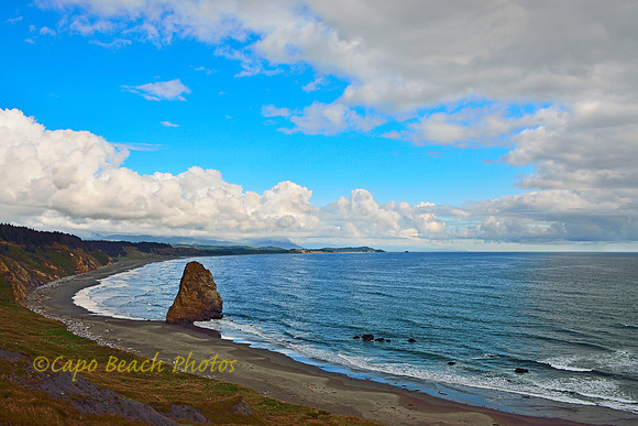 Oregon Coastline