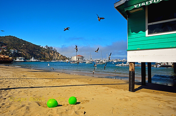 Green Beach