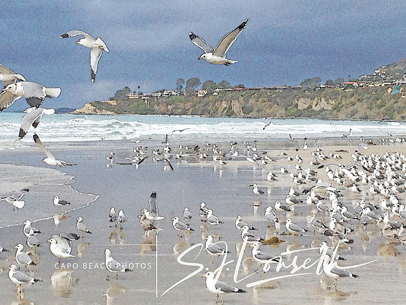 Salt Creek Beach Gallery_Watercolor