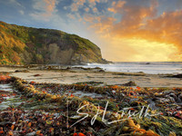 Strand Headlands Seashore_CA