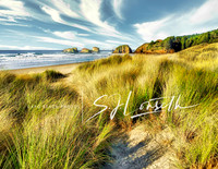 Ocean Grassland_Oregon Coast