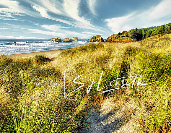Ocean Grassland_Oregon Coast