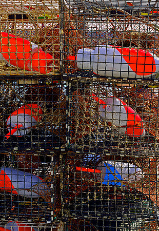 Orange Blue Floats