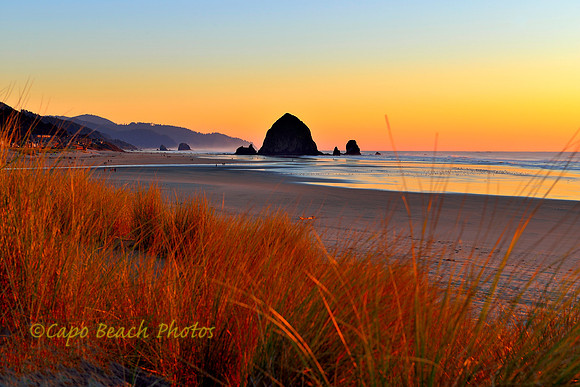 Haystack Rock Grasslands