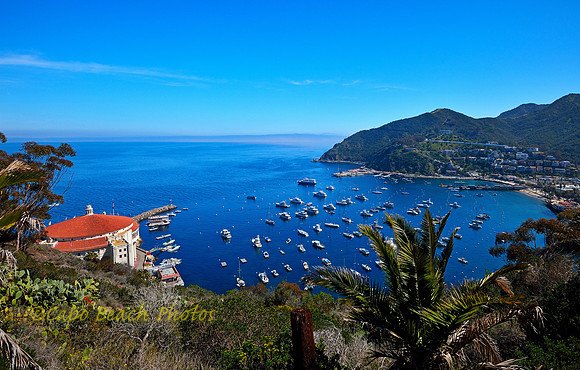 The Harbor