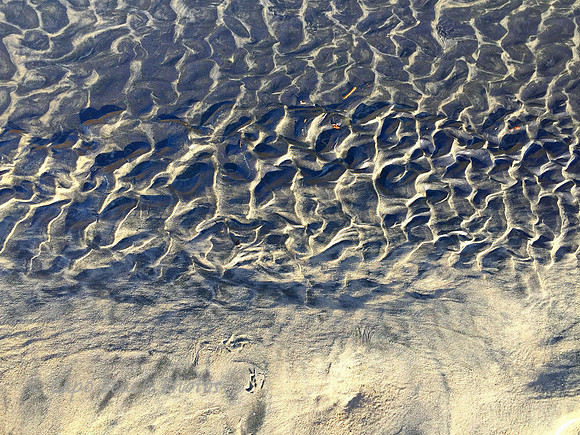 Sahara