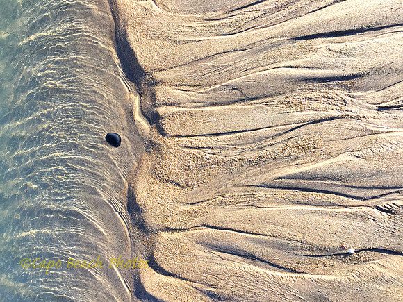 Lone Survivor_Moonlight Beach CA