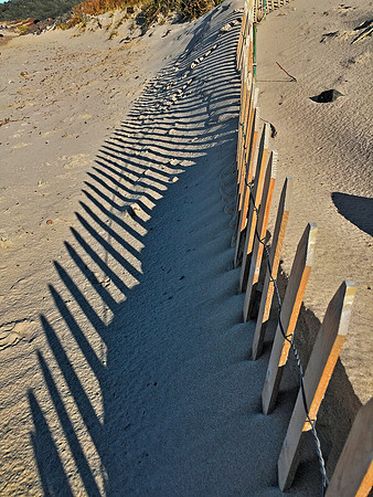 Cannon Beach Sand Fence
