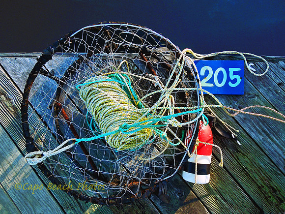 Boston Harbor Marina Crab Pot
