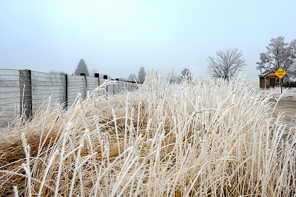 Winter Roadside