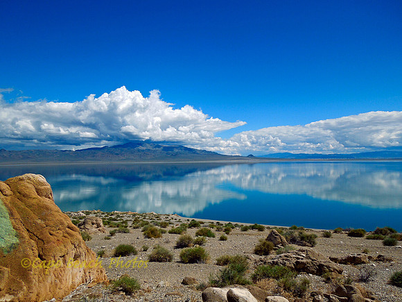 Lake Walker_Nevada