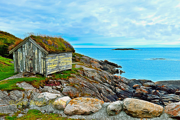 Shed By The Sea