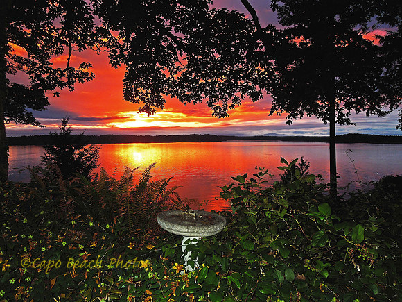 Bird Bath Sunset