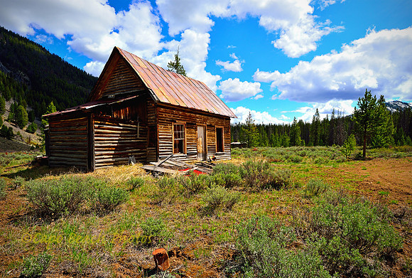 House at Custer