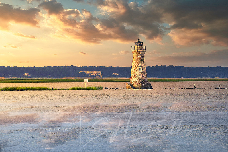 Cockspur_Tower_Georgia