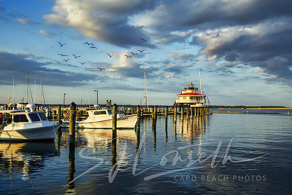 ChopTank Light_Marina