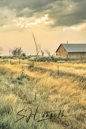 Kansas Shed