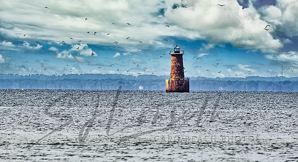 Bloody Point Bar Light_Maryland