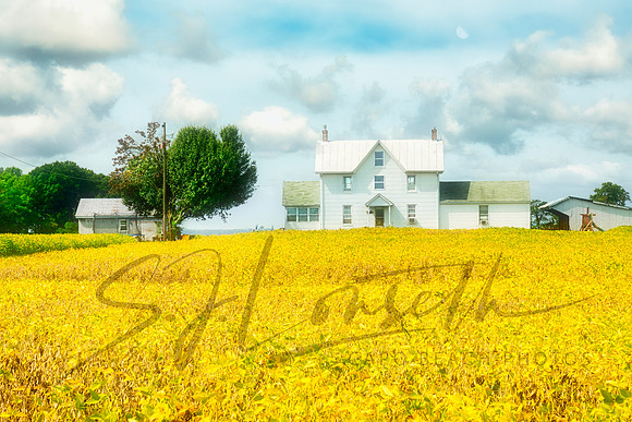 Maryland Farm