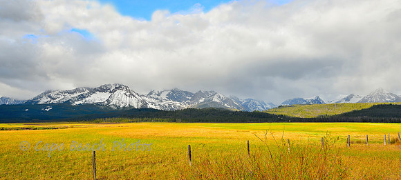 Sawtooth Meadow