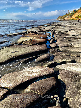Leucadia State Beach