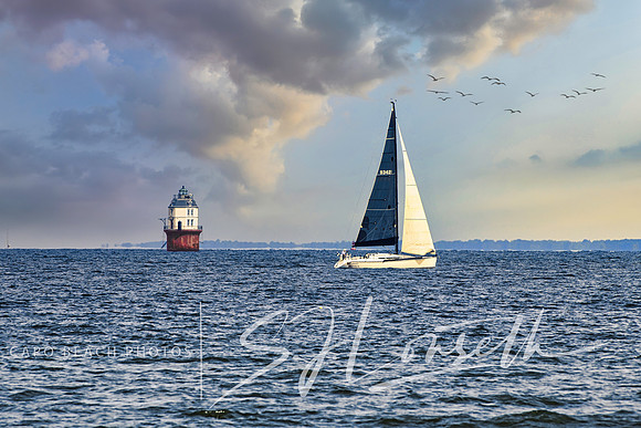 Baltimore Harbor Light_Maryland