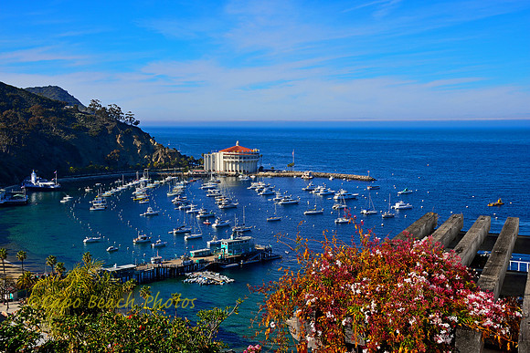 Avalon Harbor North