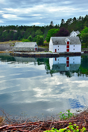 Fjord Side