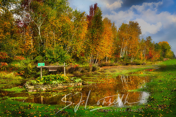 Nasewaupee Pond_Door County_Wisconsin