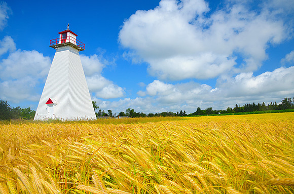 Leards Rear Range_PEI