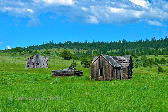 Oregon Dream House