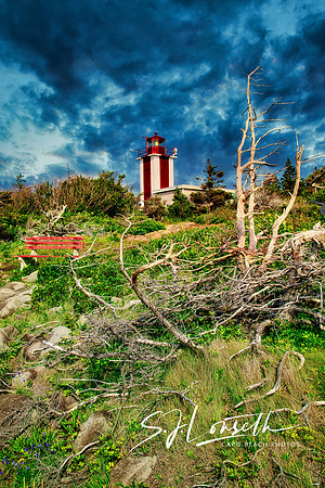 Prim Point Light_NS