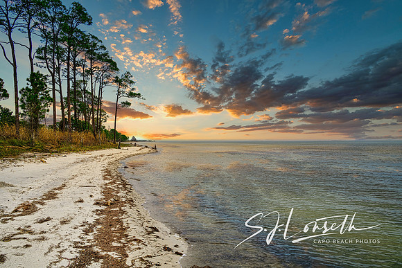 Florida's Forgotten Coast