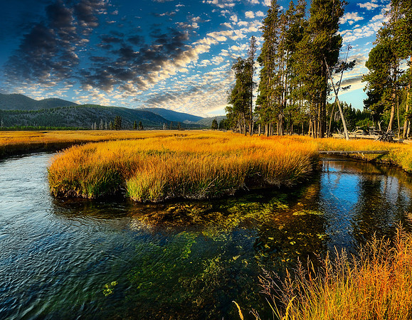 Firehole River Grassland_Yellowstone