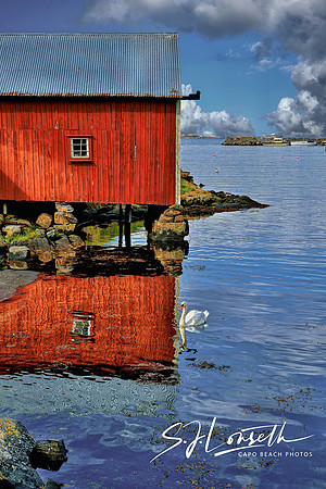 Bud_Red Barn Swan_HDR