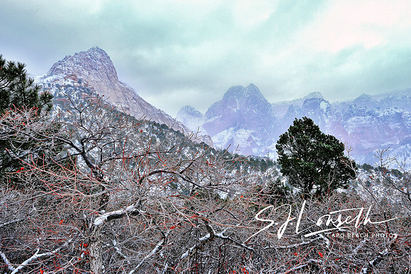 Kolob Canyon Winter