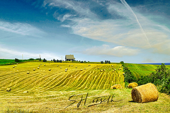 Hayin' Time_Prince Edward Island