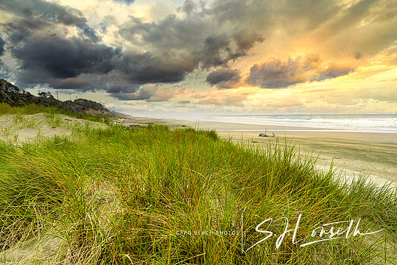 Grassland Beach_Orgeon Coast