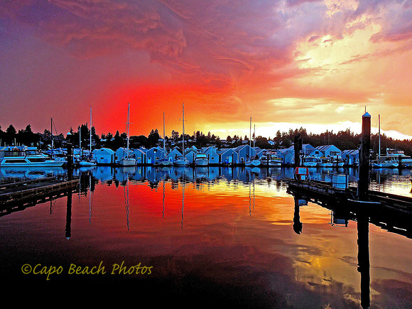 Budd Inlet Squall