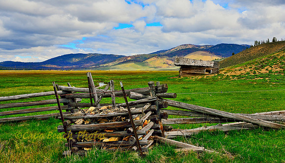 Abandoned Homestead