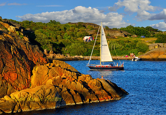 Summer Sailing in Stavern