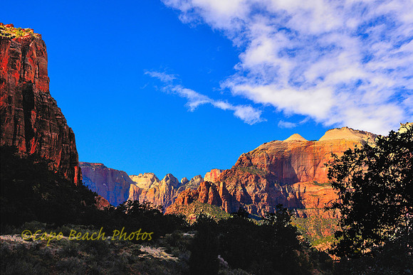 Zion Beehives