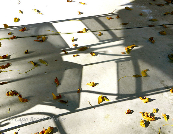 Autumns Arrival