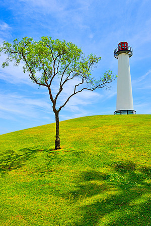 Lighthouse Hill at Long Beach