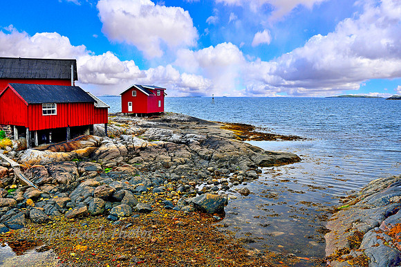 Red Houses By the Sea