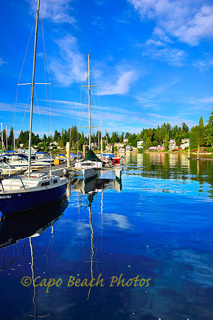 Boston Harbor Marina Boats