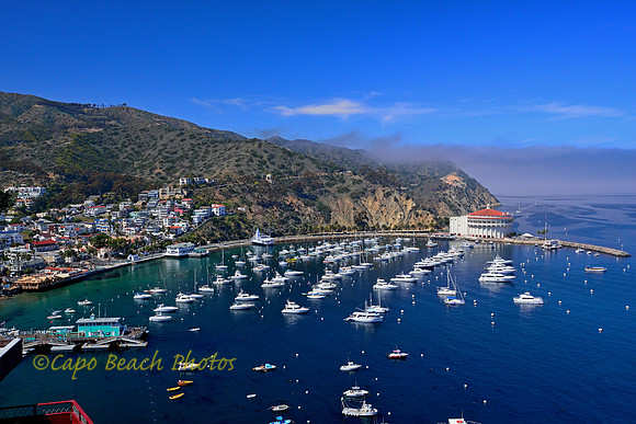 Harbor View