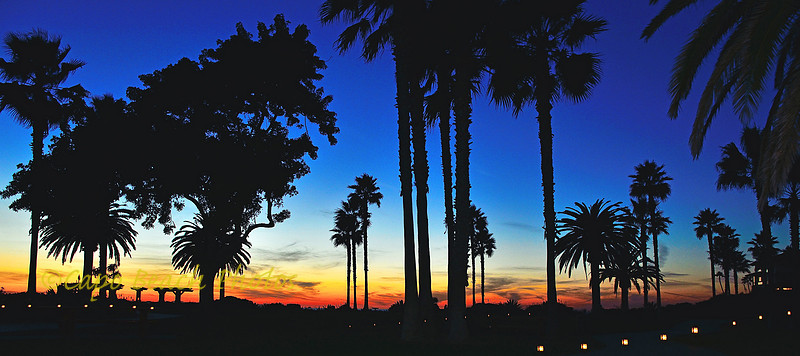 Montage Sunset