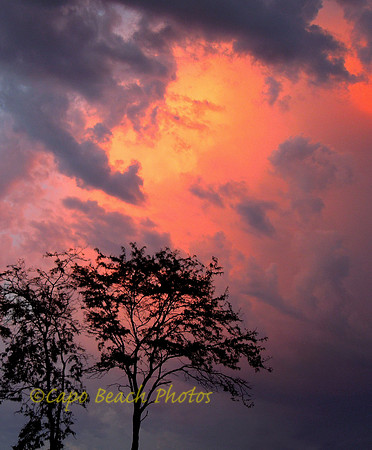 Cinnabar Sky